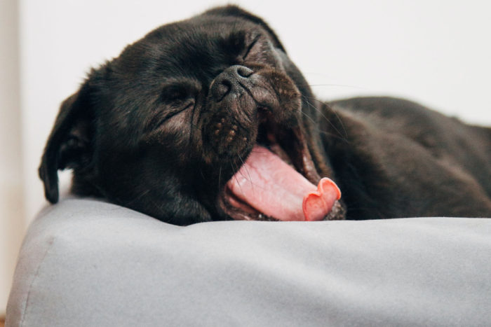 Dormir a los 15: misión imposible