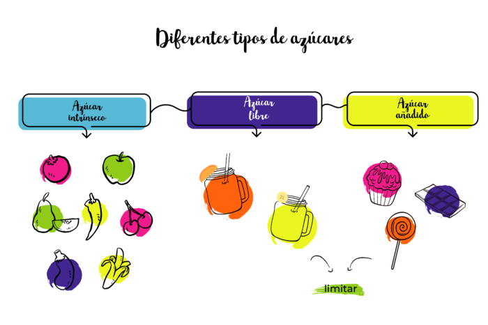 Tipos de azúcar: lo que debes saber