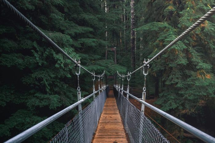 Así te ayuda la naturaleza a ‘resetear’ el cerebro